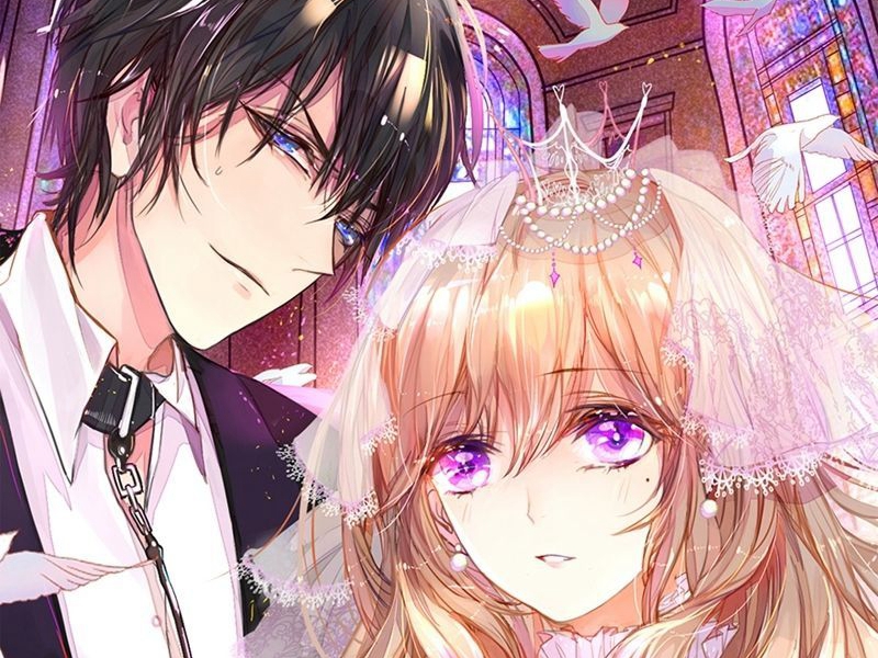 「经典」永不褪色的记忆书单