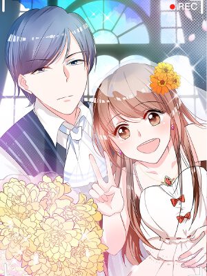 总裁X宅女,总裁X宅女漫画