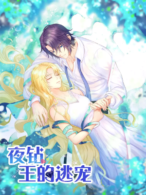 夜钻,王的逃宠,夜钻,王的逃宠漫画