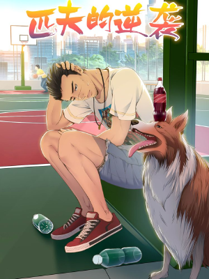 匹夫的逆袭,匹夫的逆袭漫画